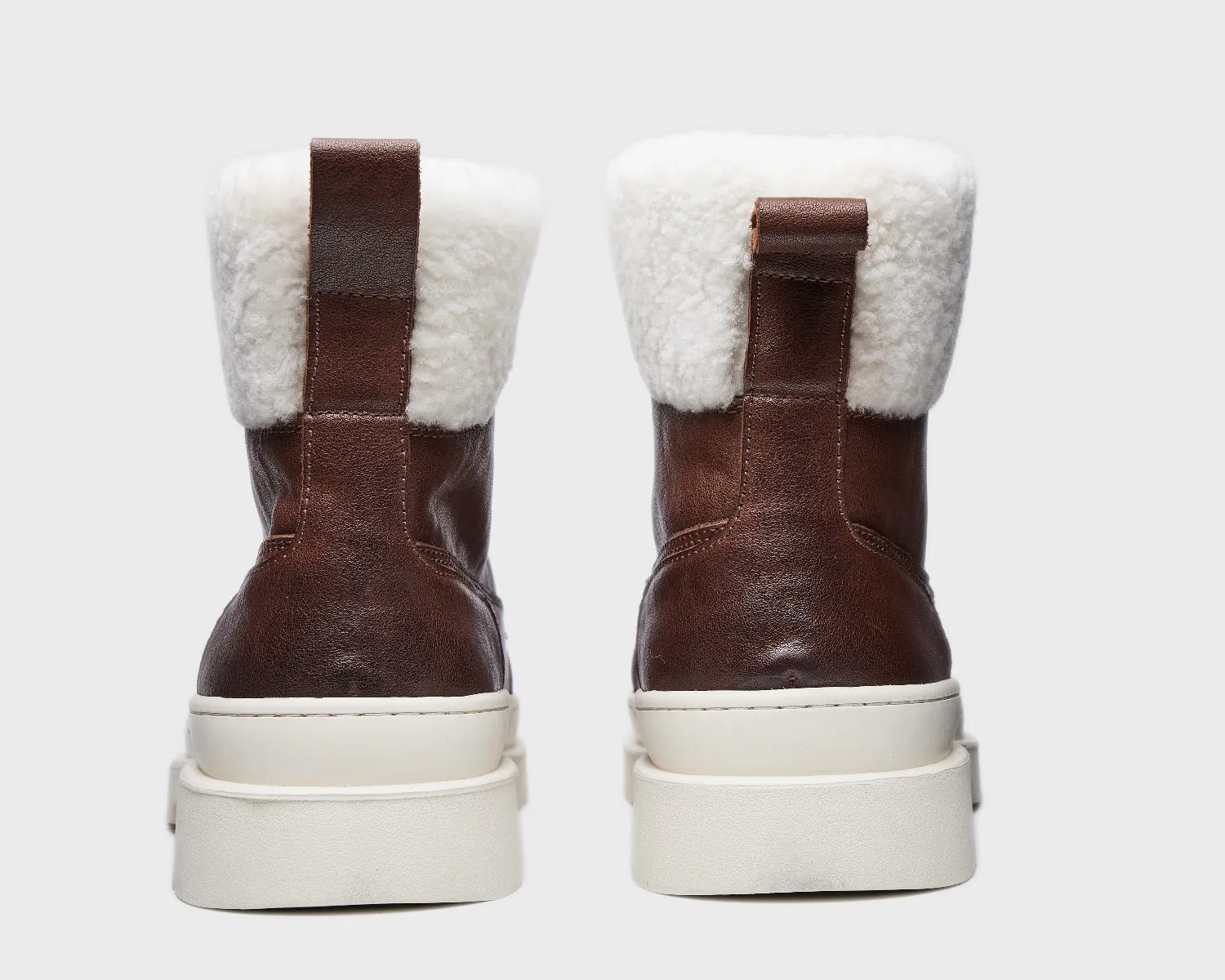 Arctic Explorer