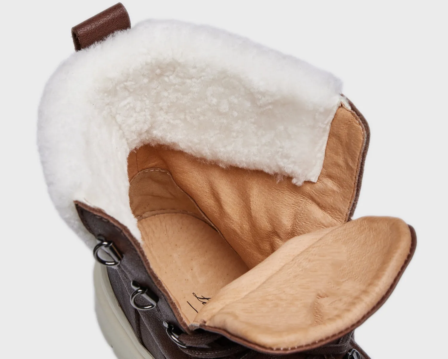 Arctic Explorer