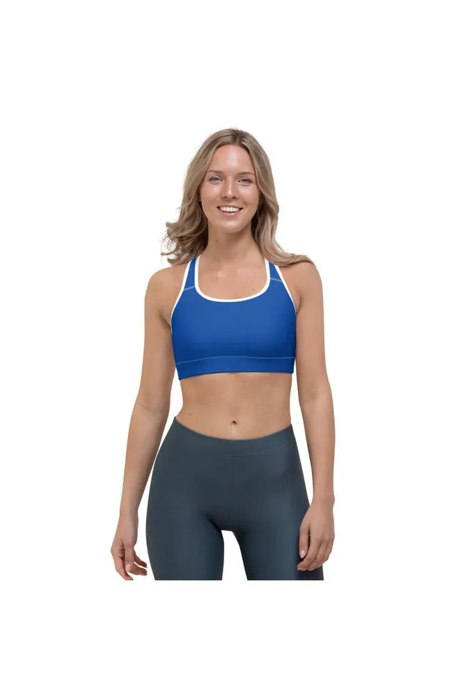Daylight Blue Sports bra