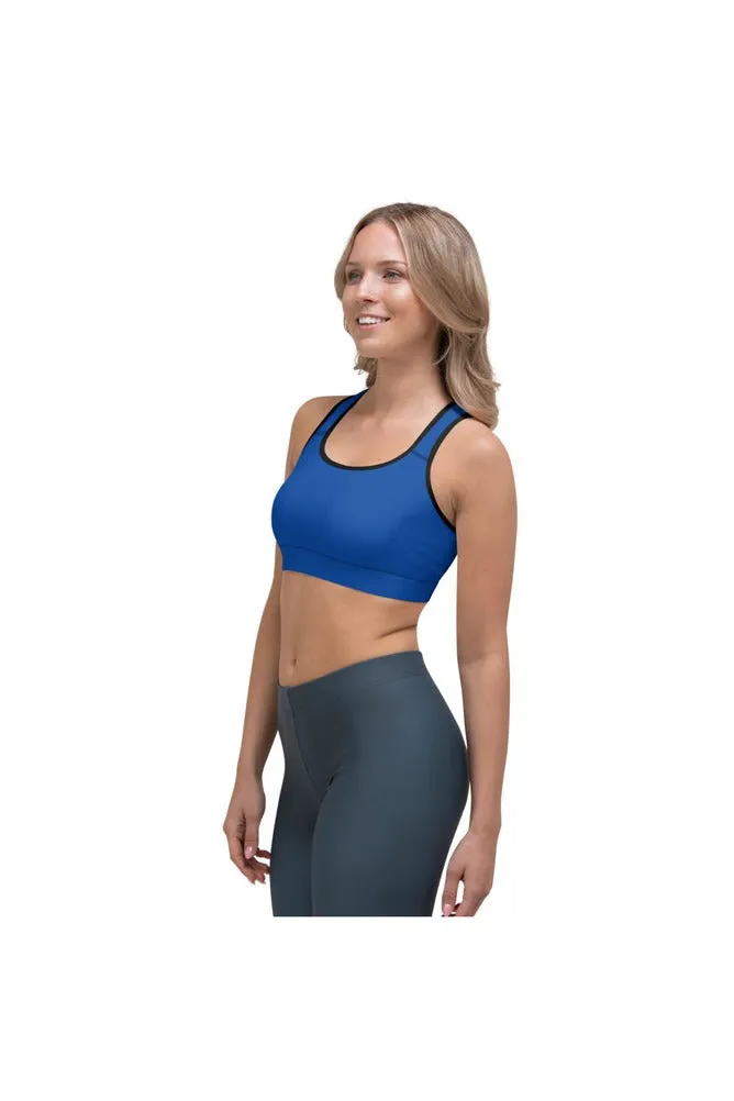 Daylight Blue Sports bra