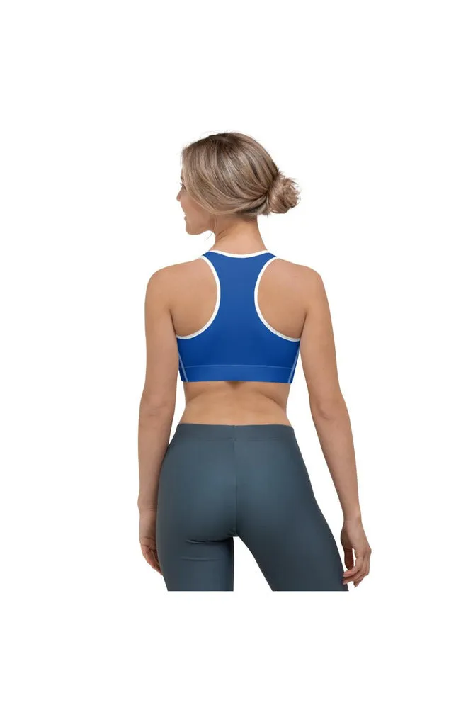 Daylight Blue Sports bra