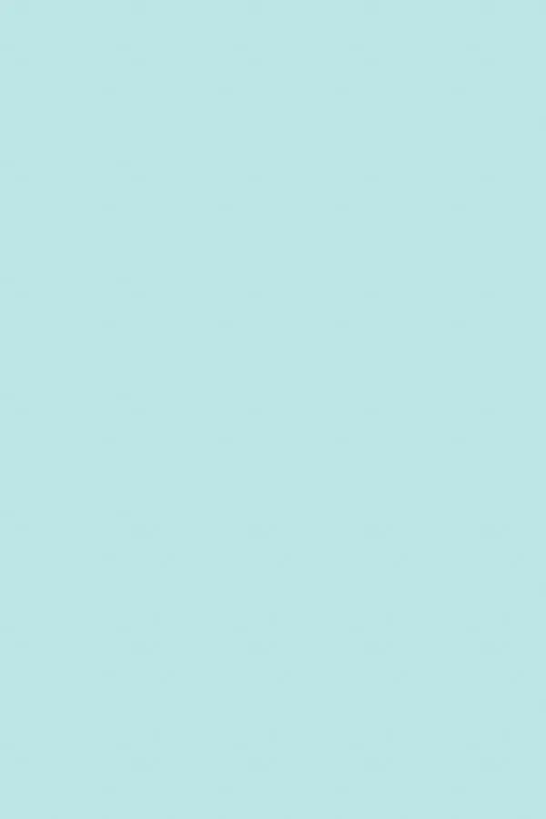 Mint Green | Flat Waxed Shoelaces